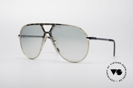 glasses and sunglasses, Alpina | Vintage Sunglasses
