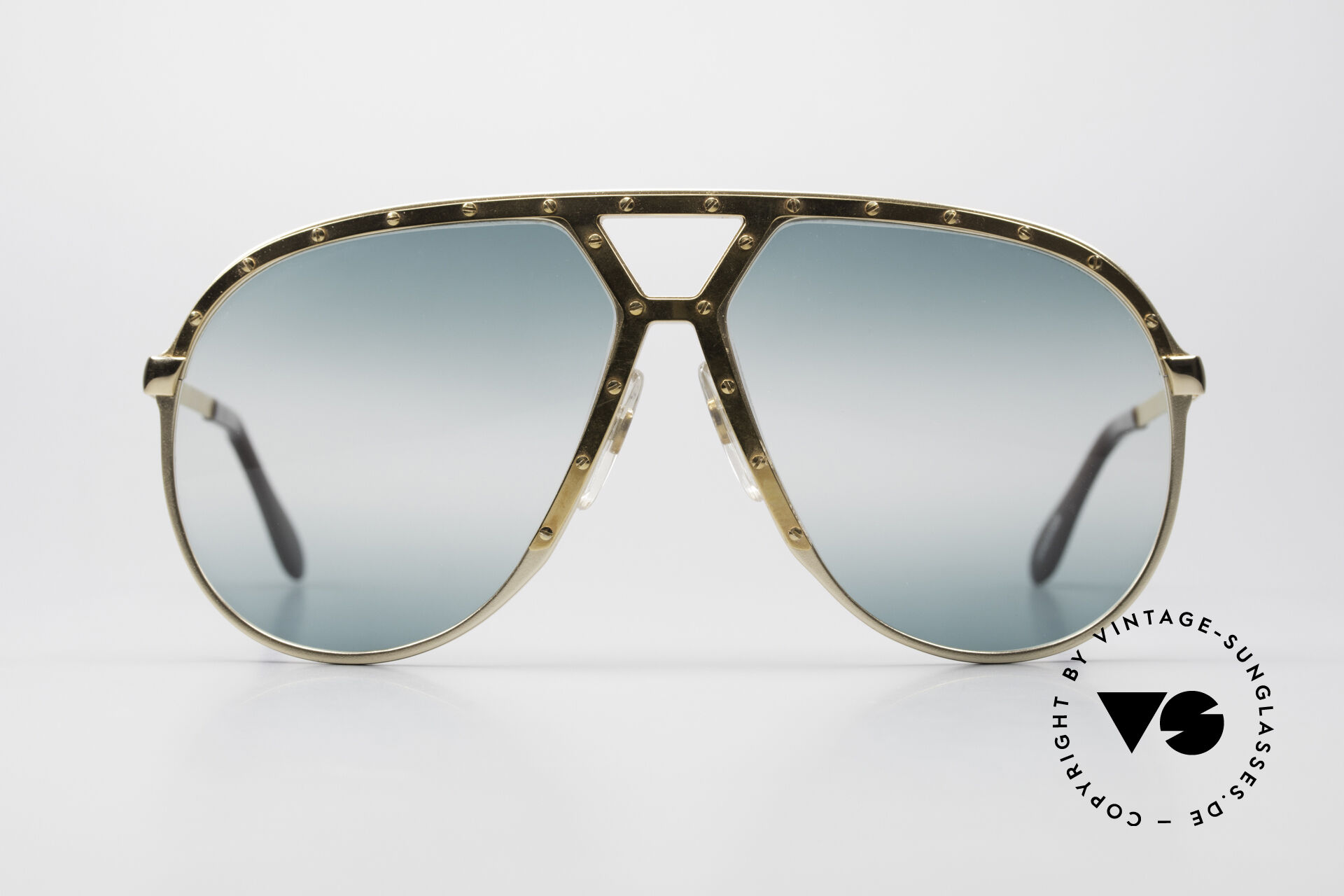 Sunglasses Alpina M1 Double Gradient Green Lenses